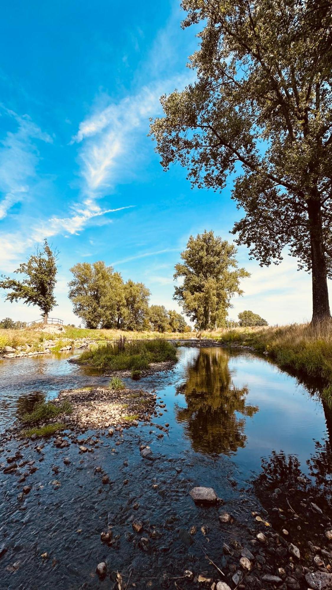 Apartment Mit Netflix - Parken - Kueche - Bad Weiden in der Oberpfalz Kültér fotó
